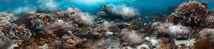 Aqua Imports Picture 9