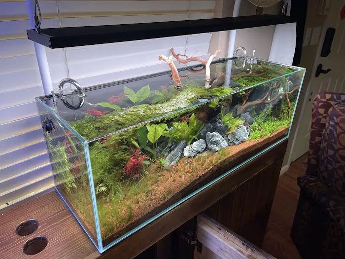 Aqua Imports Picture 8