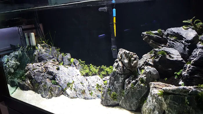 Aqua Imports Picture 7