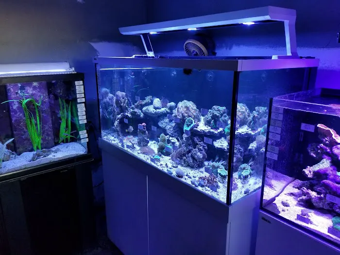 Aqua Imports Picture 3