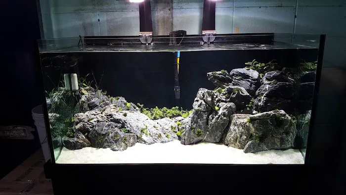 Aqua Imports Picture 6
