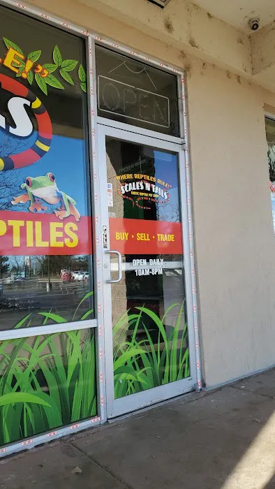Scales 'N Tails Boulder Picture 4