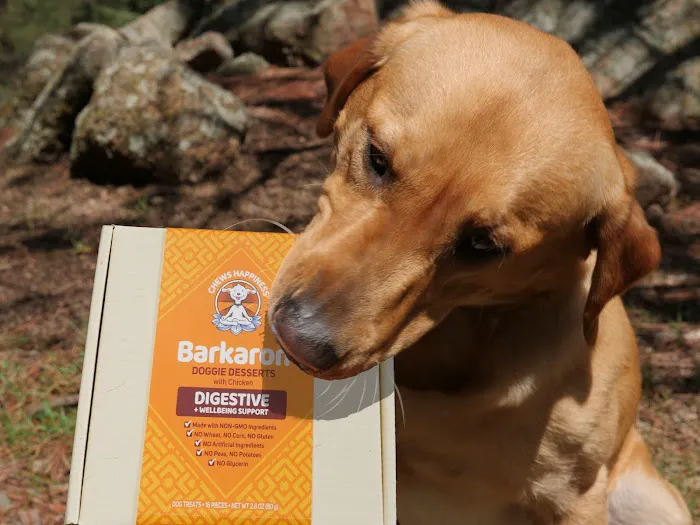 Chews Happiness (True Health Enterprises, LLC) Picture 2