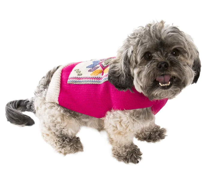 Chews Happiness (True Health Enterprises, LLC) Picture 10