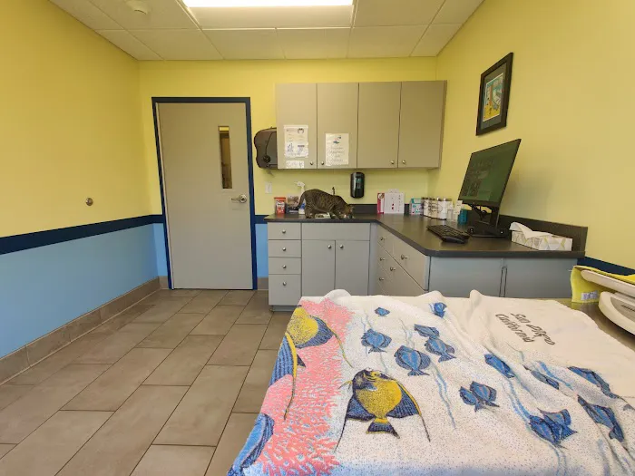 Dove Creek Animal Hospital Picture 8