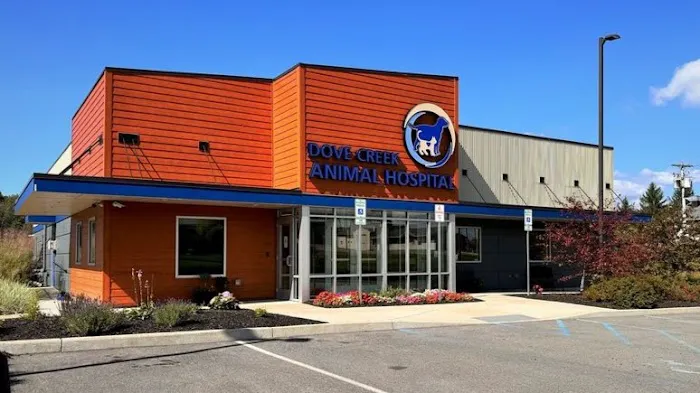 Dove Creek Animal Hospital Picture 6