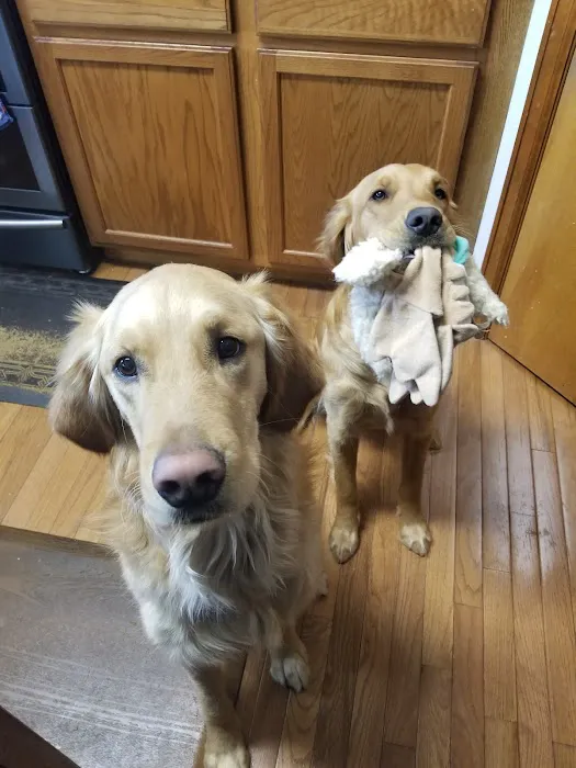 Chuck & Don's Pet Food & Supplies Picture 10
