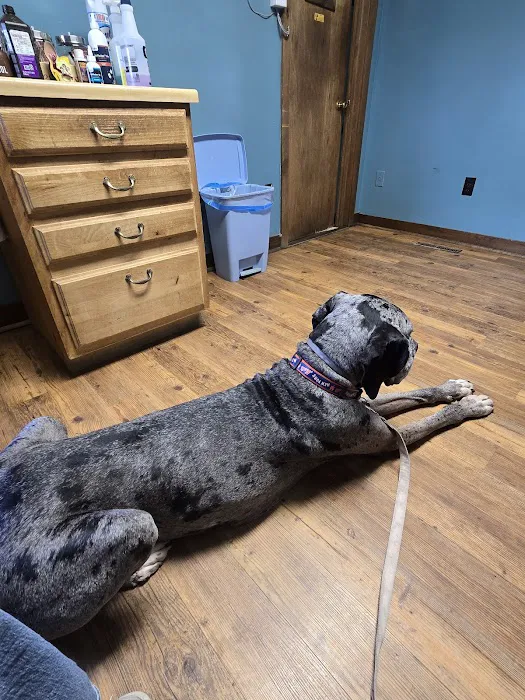 Sacandaga Veterinary Clinic Picture 5