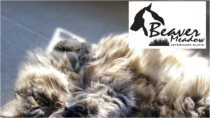 Beaver Meadow Veterinary Clinic Picture 10