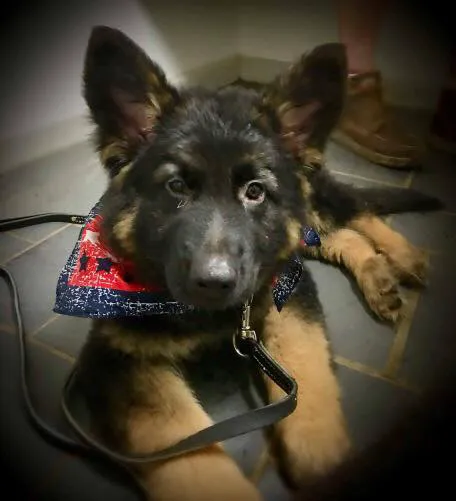 Beaver Meadow Veterinary Clinic Picture 2