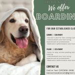 Beaver Meadow Veterinary Clinic