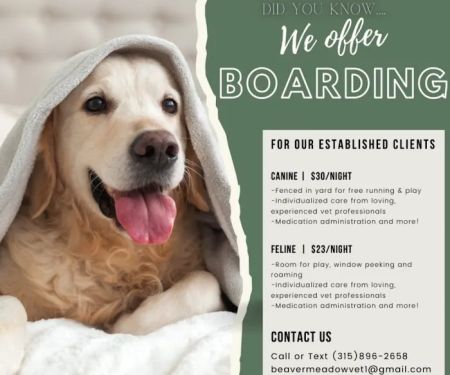 Beaver Meadow Veterinary Clinic