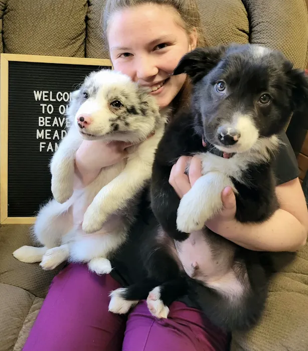 Beaver Meadow Veterinary Clinic Picture 8