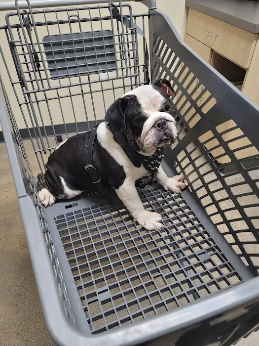 Petco Picture 9