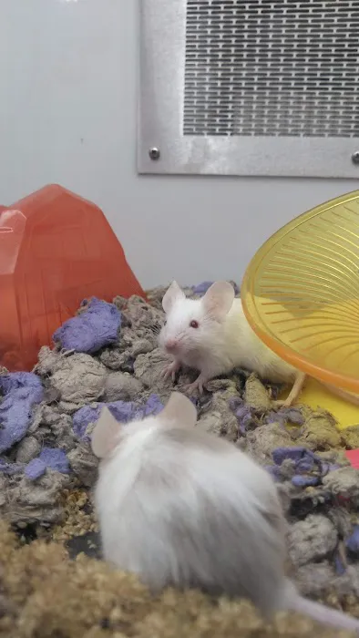 Petco Picture 4