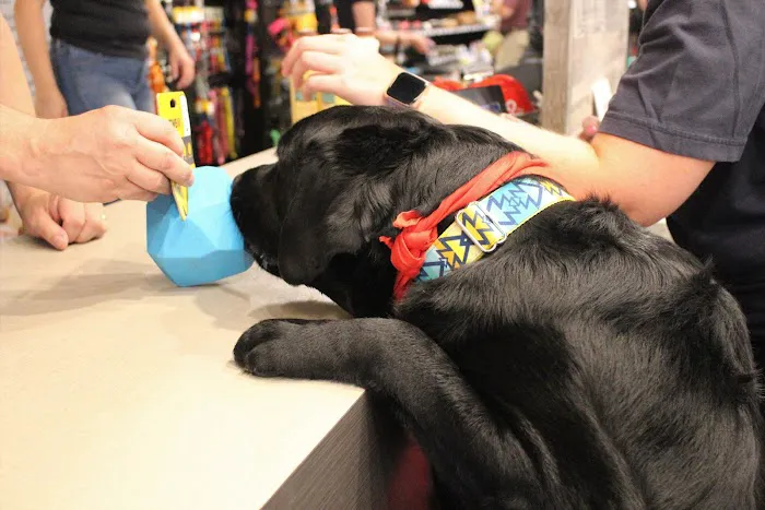 Chuck & Don's Pet Food & Supplies Picture 1
