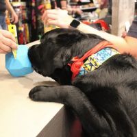 Chuck & Don's Pet Food & Supplies ico