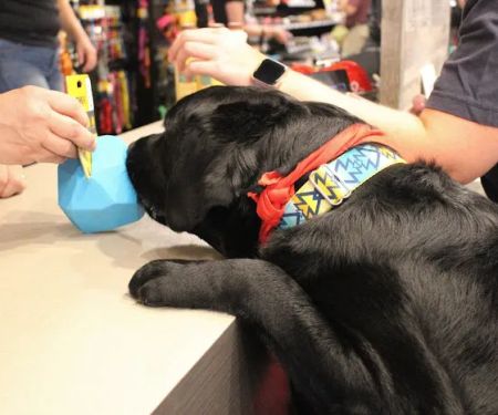 Chuck & Don's Pet Food & Supplies