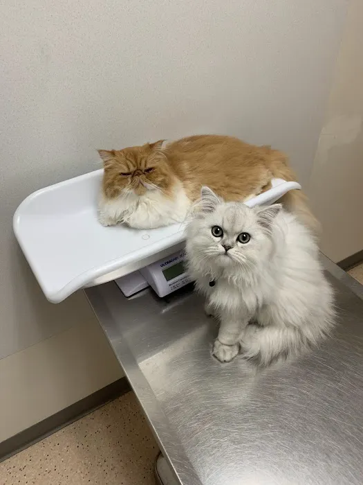 Nottingham Pet Clinic Picture 4