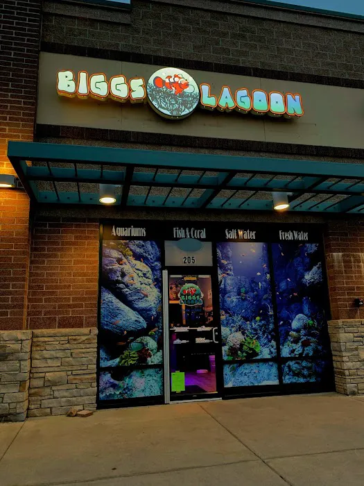 Biggslagoon Picture 10
