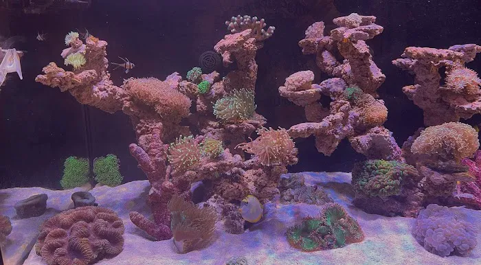 Biggslagoon Picture 1