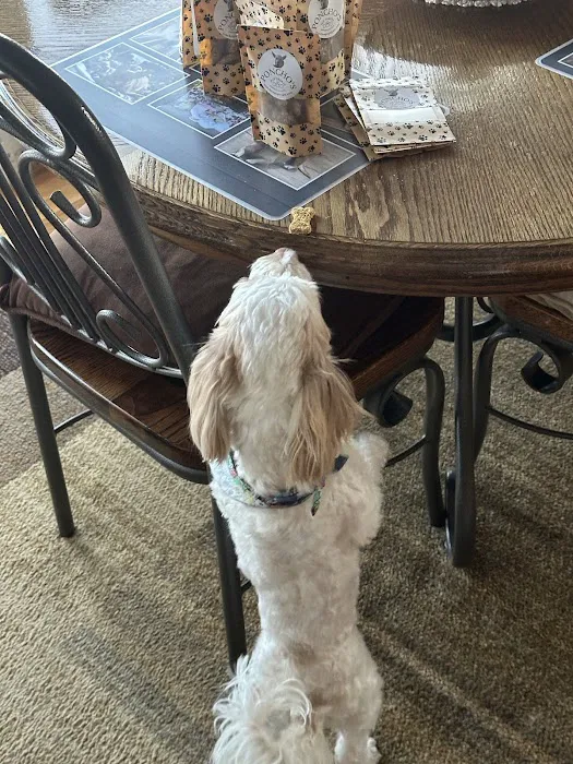 Poncho’s Pup Treats LLC Picture 4
