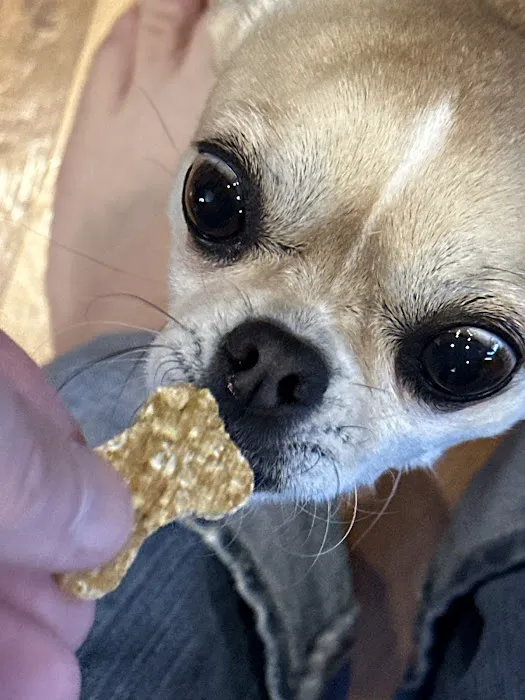 Poncho’s Pup Treats LLC Picture 3