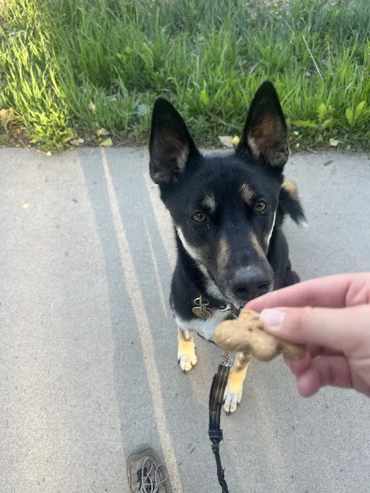 The Biscuit Barkery of N. Colorado Picture 1