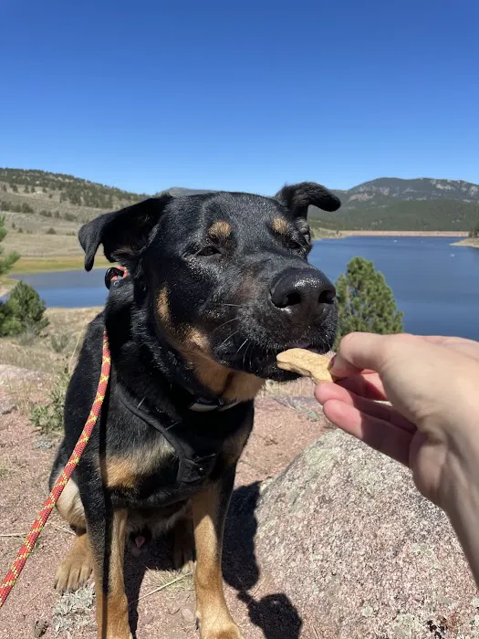 The Biscuit Barkery of N. Colorado Picture 8