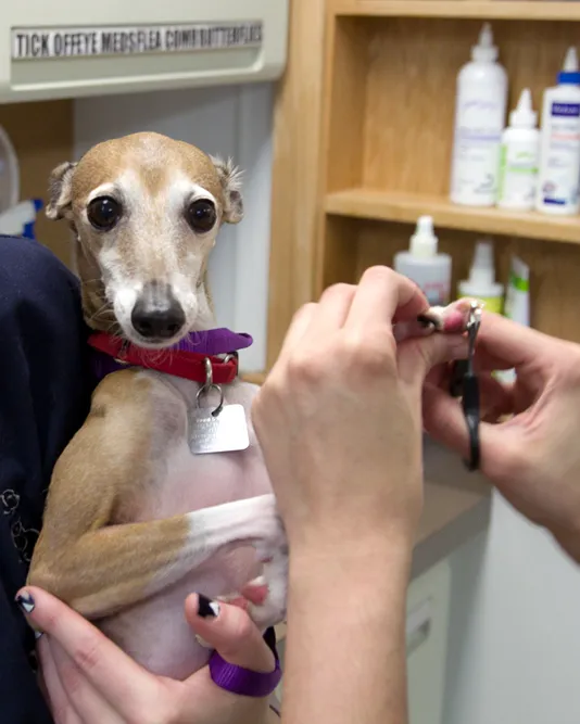 Stack Veterinary Hospital Picture 3