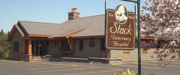 Stack Veterinary Hospital Picture 1