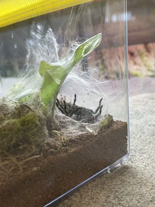 Petco Picture 4