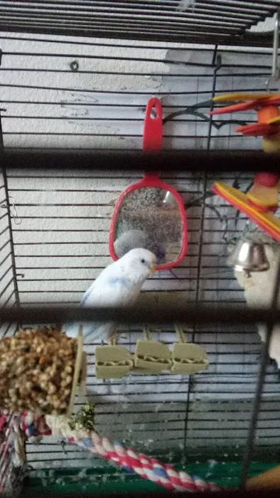 Petco Picture 2