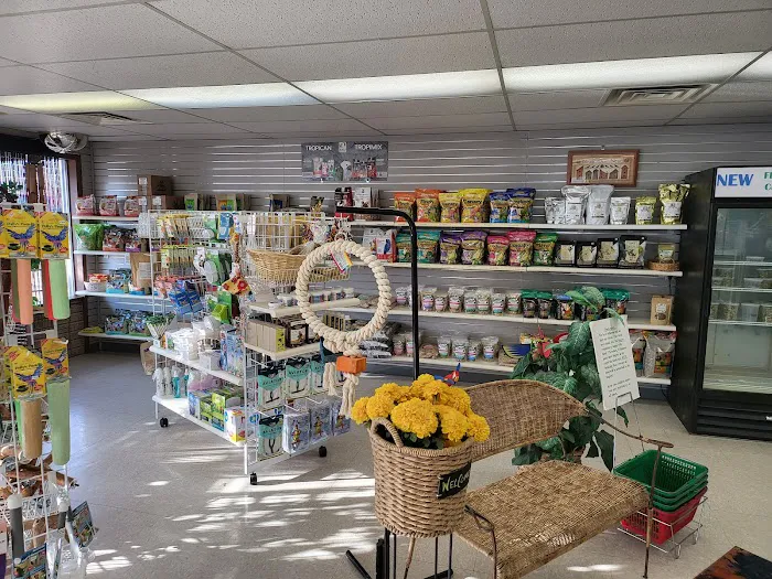 Avalon Aviary Bird Store Picture 1