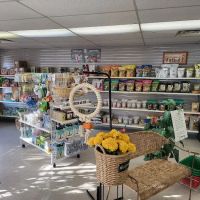 Avalon Aviary Bird Store ico