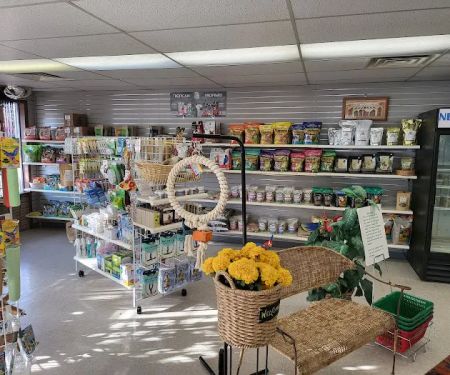 Avalon Aviary Bird Store