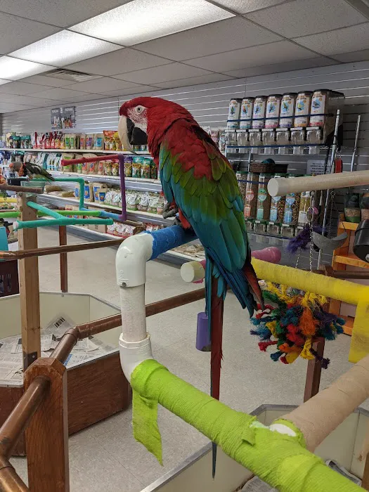 Avalon Aviary Bird Store Picture 9