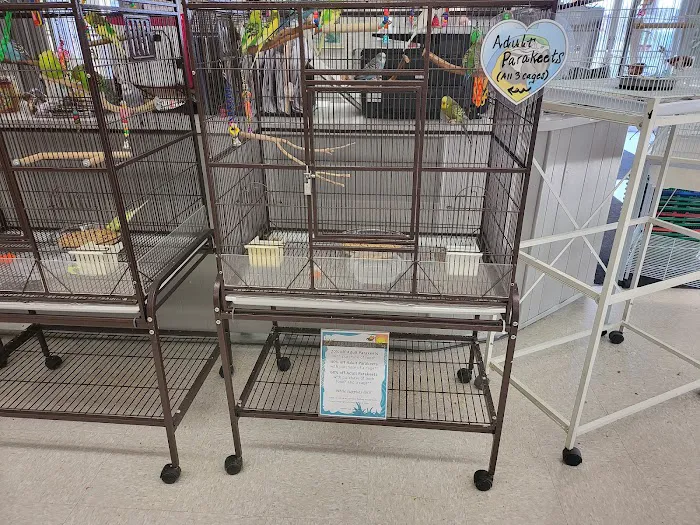 Avalon Aviary Bird Store Picture 2