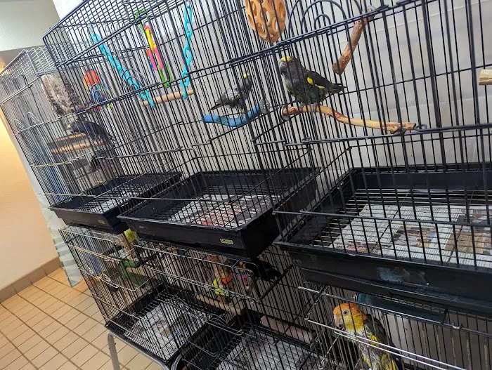 Avalon Aviary Bird Store Picture 8