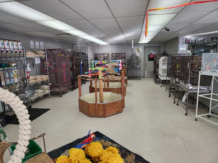 Avalon Aviary Bird Store Picture 5