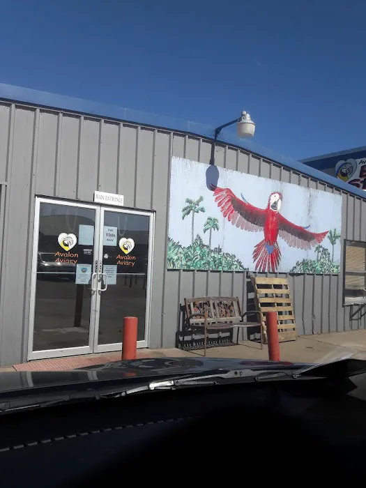 Avalon Aviary Bird Store Picture 10