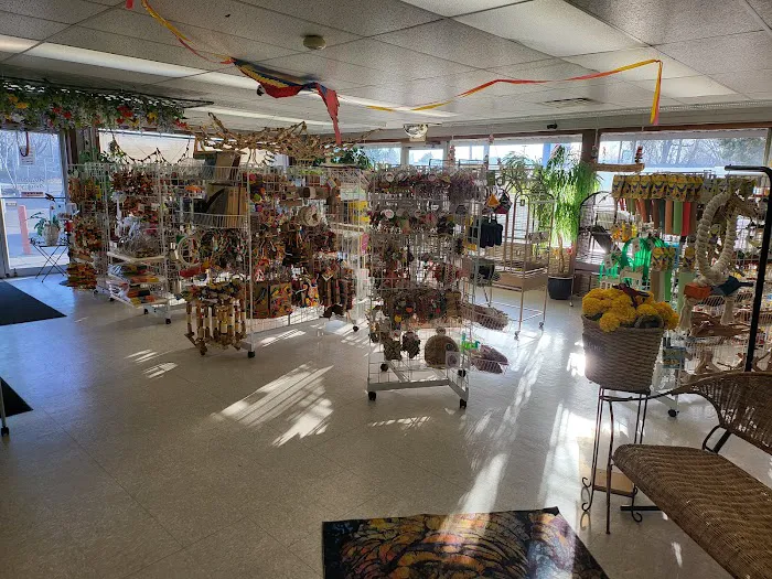 Avalon Aviary Bird Store Picture 3