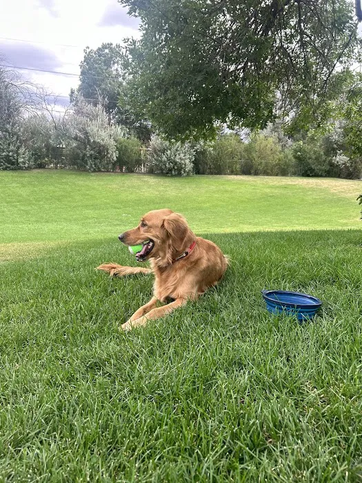 Rocco's World Picture 2