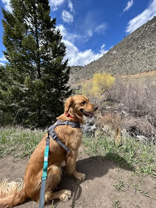 Rocco's World Picture 4