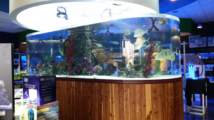 The Fish Crew Picture 7