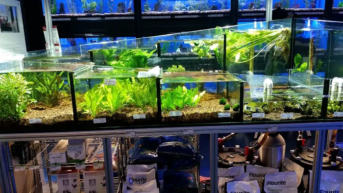 The Fish Crew Picture 5
