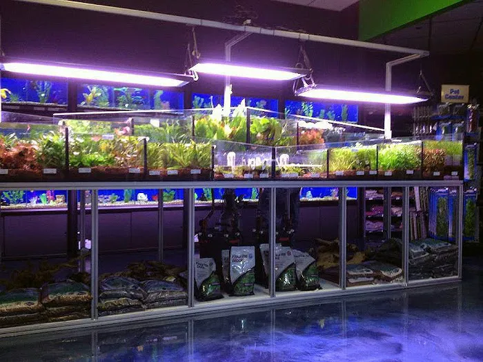 The Fish Crew Picture 2
