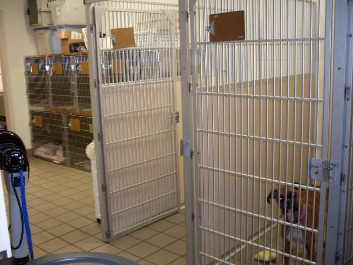 Shop City Animal Hospital Picture 9