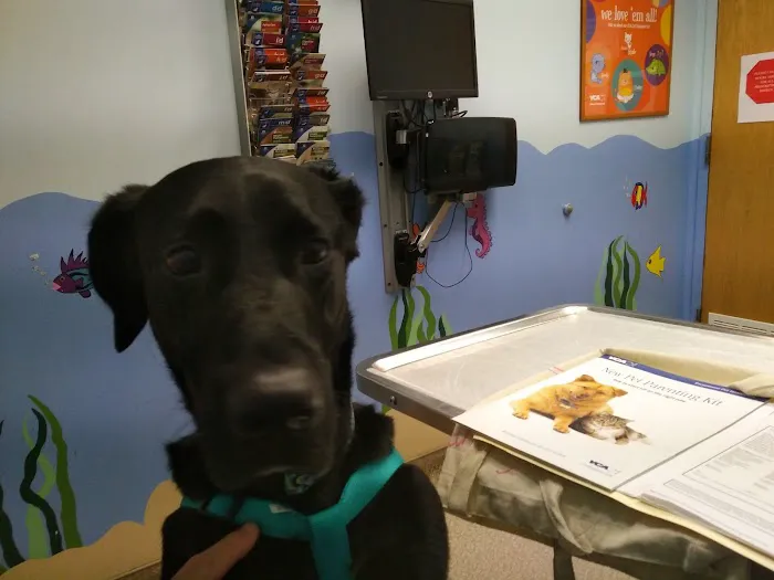Shop City Animal Hospital Picture 6