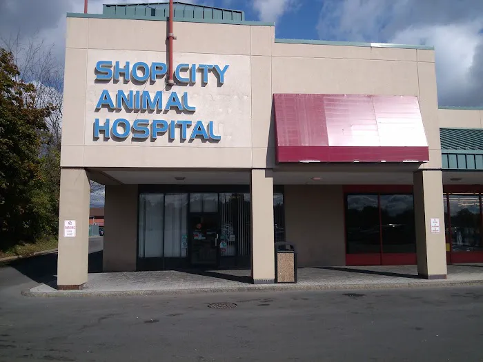 Shop City Animal Hospital Picture 2